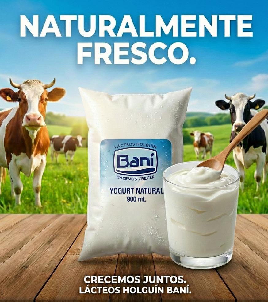 Yogurt Natural 900 ml 