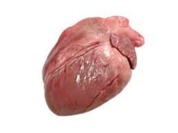 Corazon de Cerdo (formato 1 kg)